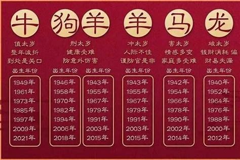 2005年属相|2005年是属什么生肖 2005年出生的人属什么